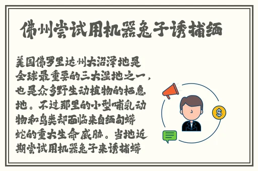 日产2019区一线二线三线